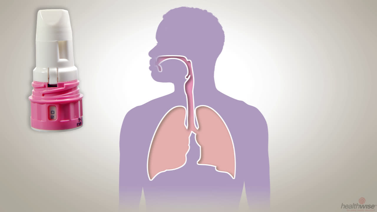 how to use dihexa powder Dry Powder Inhaler (DPI) usage description as in [20]
